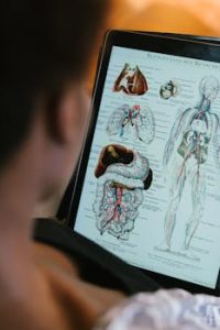 A woman studies anatomy diagrams on a tablet indoors, focusing on educational material.